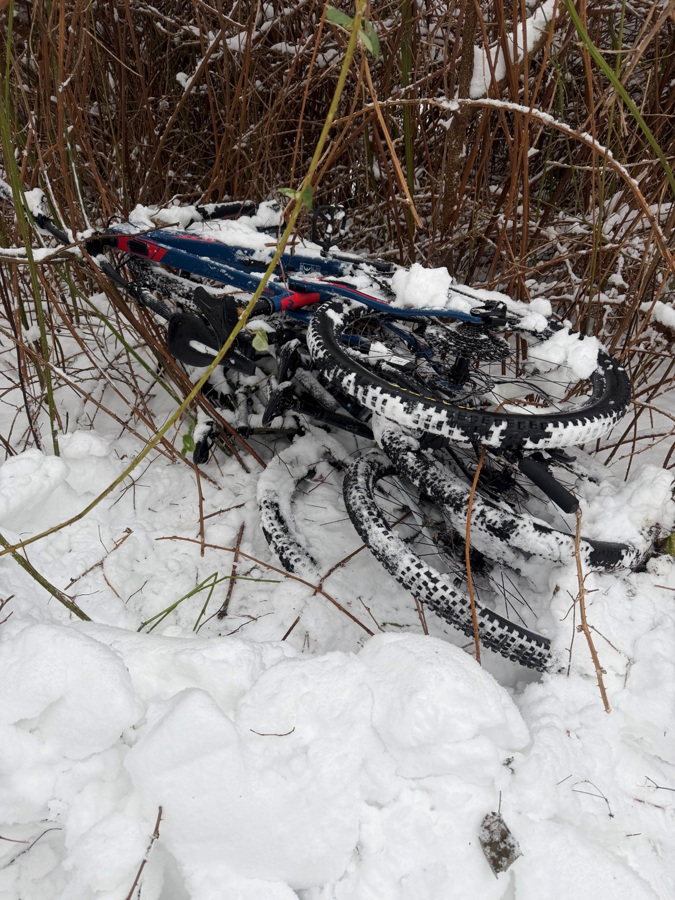Stolen high end bikes found under snow in Kassel, Germany