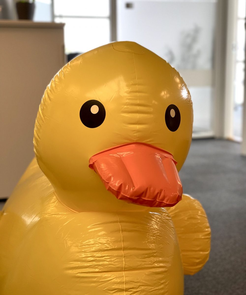 Portrait of a big yellow blow-up duck named kevin